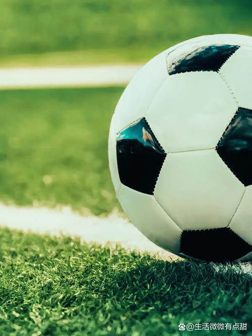 篮球数据分析研究场景