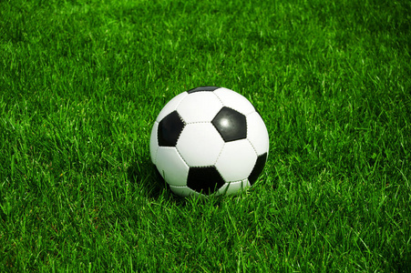 球队教练战术分析